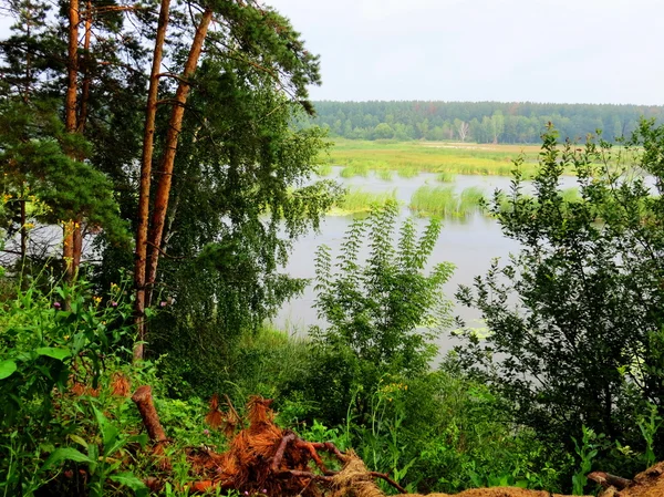 Natura Altaya cieszy oko — Zdjęcie stockowe