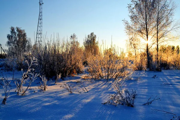 Natureza Altaya agrada olho — Fotografia de Stock