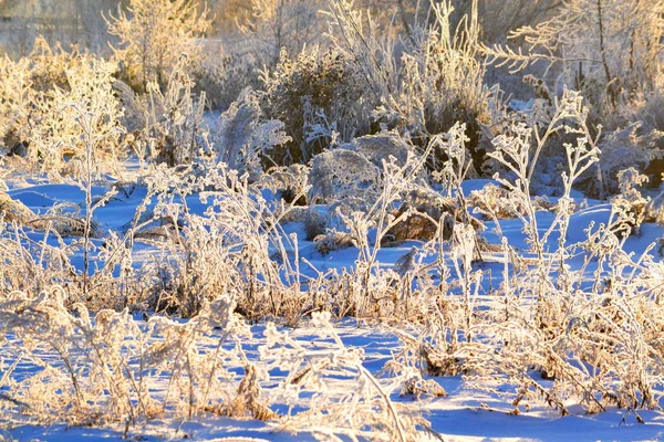 Natuur Altaya bevalt oog — Stockfoto