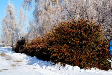  Doğa Altaya göz memnun eder.