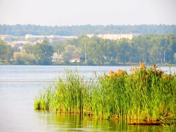 Natura Altaya cieszy oko — Zdjęcie stockowe