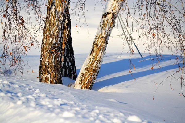 Natur Altaya behagar ögat — Stockfoto