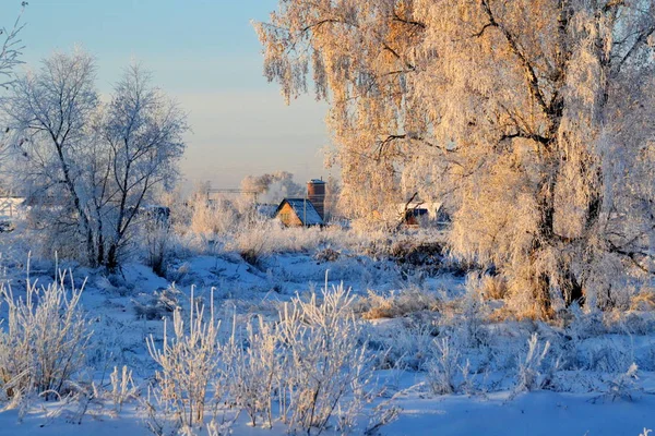 Natuur Altaya bevalt oog — Stockfoto