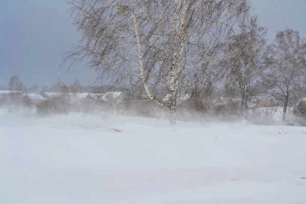 Natur Altaya behagar ögat — Stockfoto