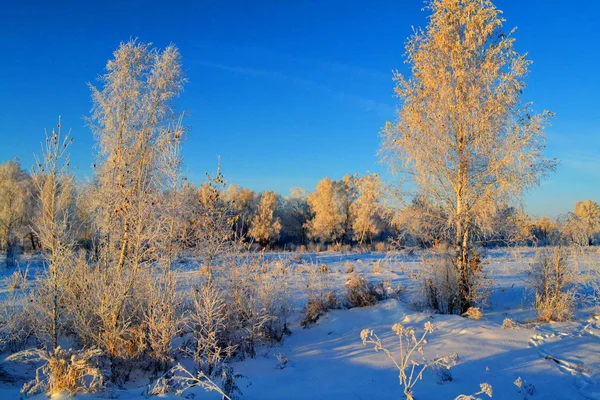 Natuur Altaya bevalt oog — Stockfoto