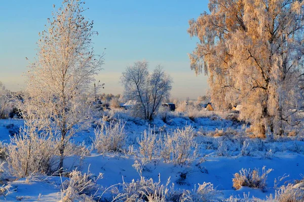 Natuur Altaya bevalt oog — Stockfoto