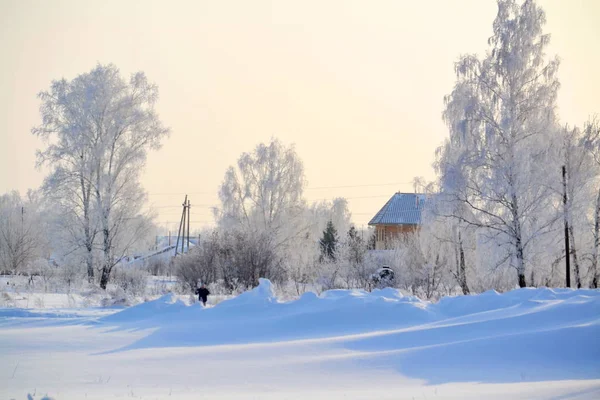 Nature Altaya pleases — Stock Photo, Image