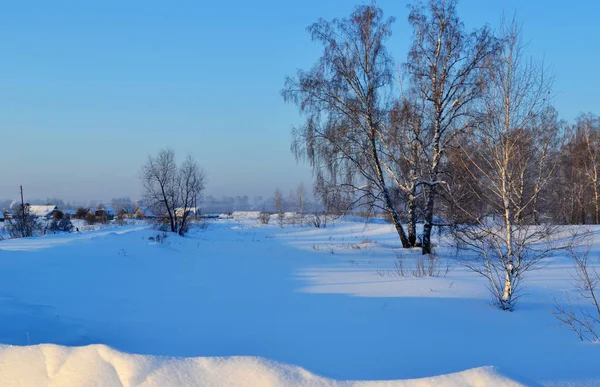 Nature Altaya pleases eye — Stock Photo, Image