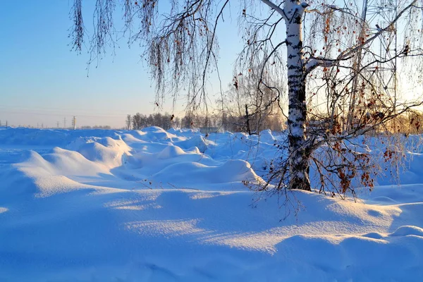 Natur Altaya behagar ögat — Stockfoto