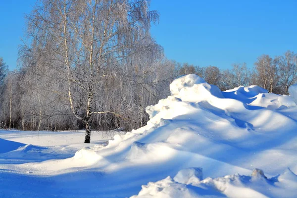 Nature Altaya pleases eye — Stock Photo, Image