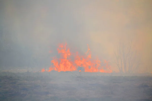 Incendi naturali in primavera — Foto Stock