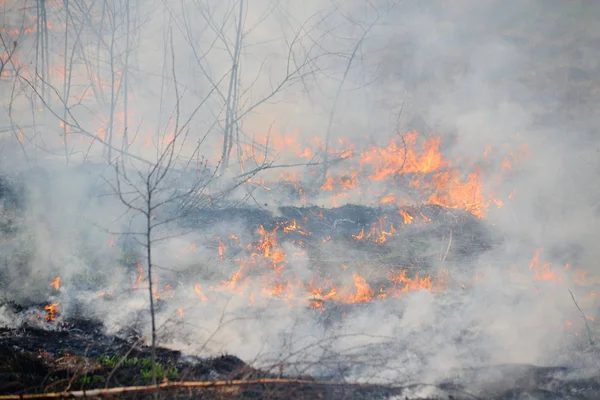 Bahar tarafından doğal yangınları