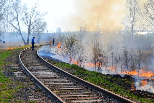 Incendios naturales en primavera —  Fotos de Stock