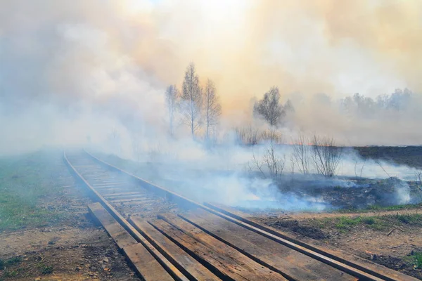 Incendios naturales en primavera —  Fotos de Stock