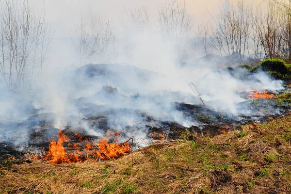 Incendios naturales en primavera —  Fotos de Stock