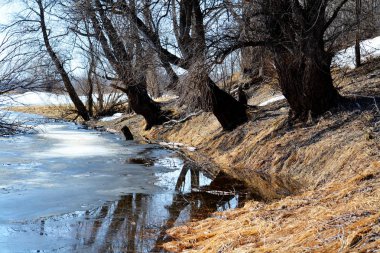 Doğa Altaya göz memnun eder.