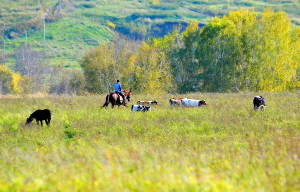 Doğa Altaya göz memnun eder. — Stok fotoğraf