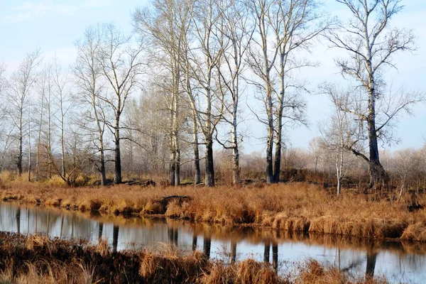 Natur Altaya behagar ögat — Stockfoto