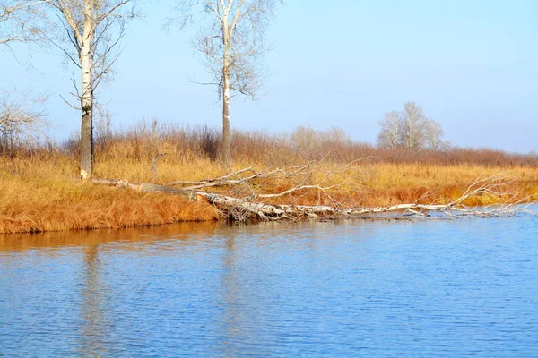 Natuur Altaya Bevalt Oog Van Kunstenaar Elk Seizoen Van Het — Stockfoto