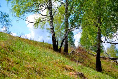 Güzel doğa Altaya göz izlerim