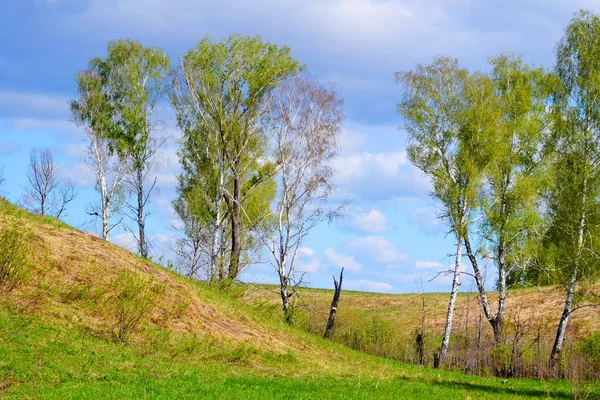 Прекрасна Природа Альтаї Очі Годинникаря — стокове фото