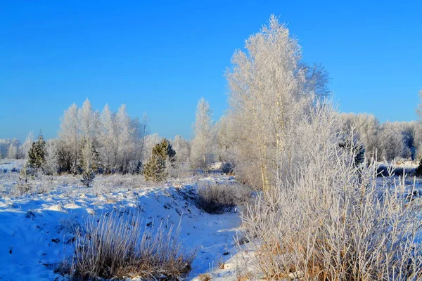 Prachtige Natuur Altaya Oog Van Watcher — Stockfoto