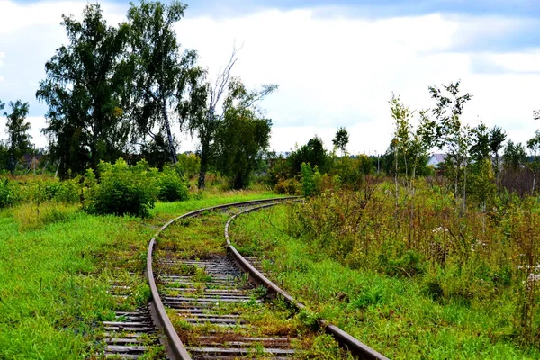 Zwierząt domowych — Zdjęcie stockowe