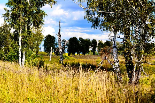 Natura Altaya Piace All Occhio Dell Artista Viaggiatore — Foto Stock