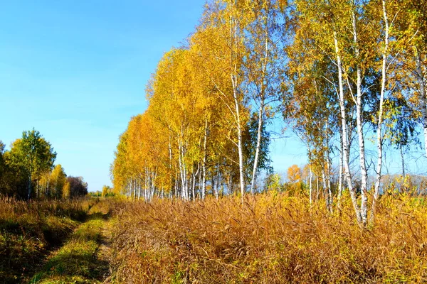 Natuur Altaya Behaagt Het Oog Van Kunstenaar Travellier — Stockfoto