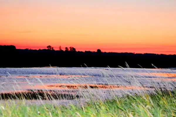 Natuur Altaya Behaagt Het Oog Van Kunstenaar Travellier — Stockfoto