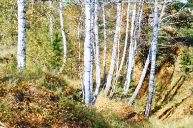           Altaya karayolları bölge ekonomisinde daha büyük rol oynuyor