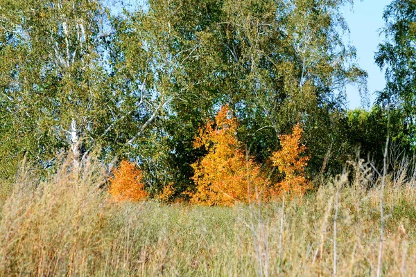 Vägar Altaya Spelar Större Roll Regionens Ekonomi — Stockfoto