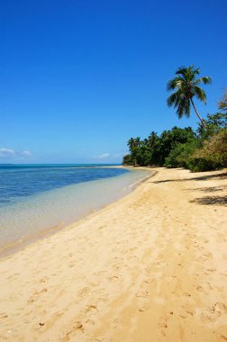 Sandy beach at Pangaimotu island near Tongatapu island in Tonga clipart