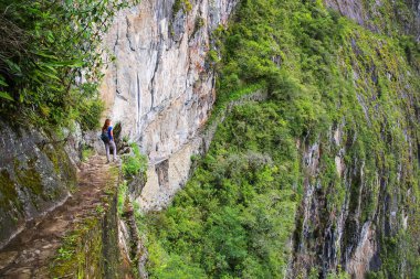 Yakın Peru Machu Picchu Inca köprü