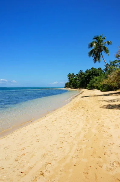 Piaszczysta plaża na wyspie Pangaimotu w pobliżu wyspa Tongatapu w Tonga — Zdjęcie stockowe