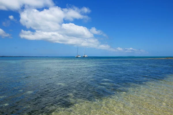 Eau claire sur l'île de Pangaimotu, près de l'île de Tongatapu, aux Tonga — Photo