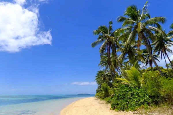 Piaszczysta plaża na wyspie Pangaimotu w pobliżu wyspa Tongatapu w Tonga — Zdjęcie stockowe