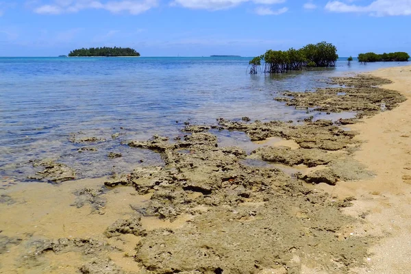 Costa da ilha de Pangaimotu perto da ilha de Tongatapu em Tonga — Fotografia de Stock