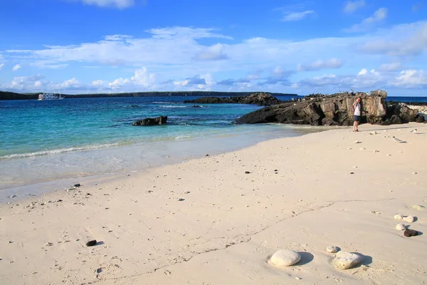 Песчаный пляж залива Грейт Дарвин, остров Женовеза, Галапагосские острова — стоковое фото