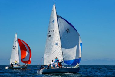Meksika Körfezi'ndeki regatta sırasında Yelkenliler