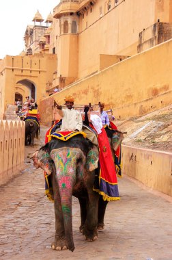 Amber, Hindistan - 1 Mart: Kimliği belirsiz bir şekilde dekore edilmiş fil ata binip