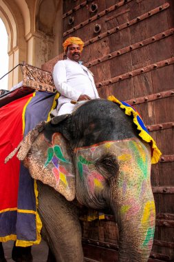 Amber, Hindistan - 1 Mart: Kimliği belirsiz rides elephan dekore edilmiş