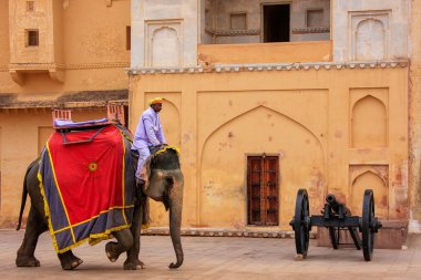 Amber, Hindistan - 1 Mart: Kimliği belirsiz rides elephan dekore edilmiş