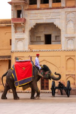 Amber, Hindistan - 1 Mart: Kimliği belirsiz rides elephan dekore edilmiş