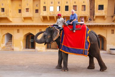 Amber, Hindistan - 13 Kasım: Kimliği belirsiz erkek dekore edilmiş yolculuk elep