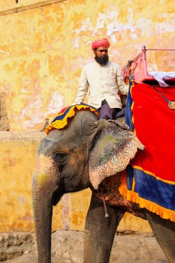 Amber, Hindistan - 13 Kasım: Kimliği belirsiz sürmek YYK dekore edilmiş