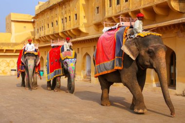 Amber, Hindistan - 13 Kasım: Kimliği belirsiz erkek dekore edilmiş yolculuk elep