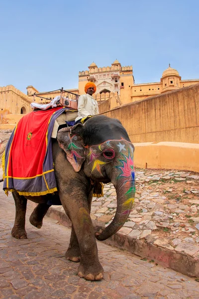 Amber, Hindistan - 1 Mart: Kimliği belirsiz rides elephan dekore edilmiş