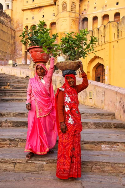AMBER, INDIA - 13 DE NOVIEMBRE: Mujeres no identificadas llevan macetas con p —  Fotos de Stock