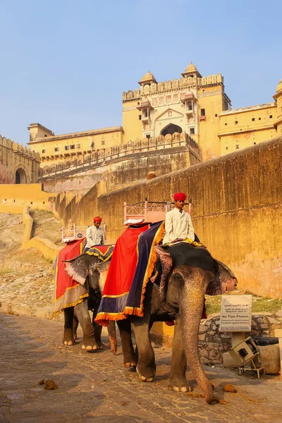 AMBER, INDIA - 13 DE NOVIEMBRE: Hombres no identificados cabalgan elep condecorados — Foto de Stock